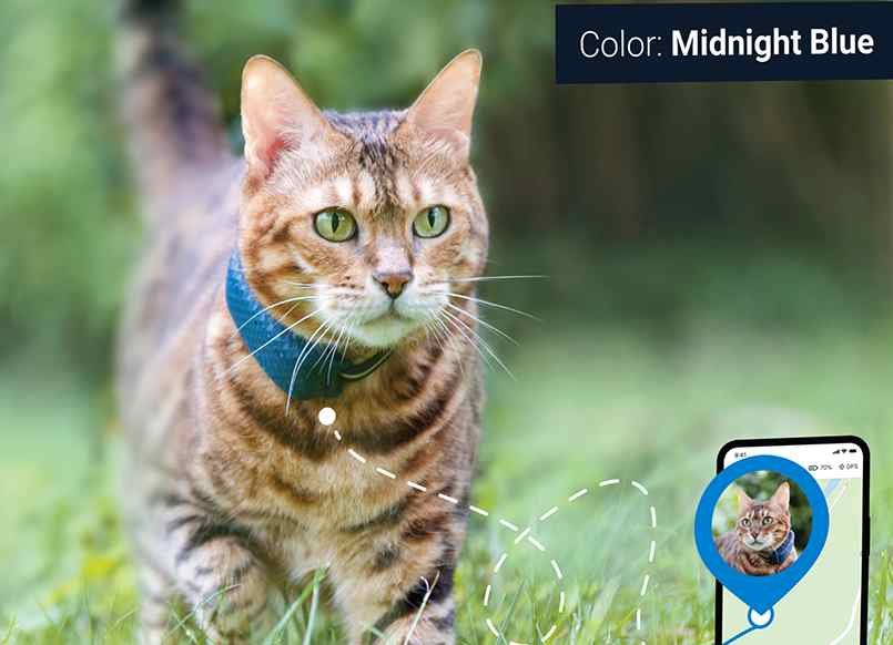 Tractive - Collar gato GPS, Localización en tiempo real, Historial