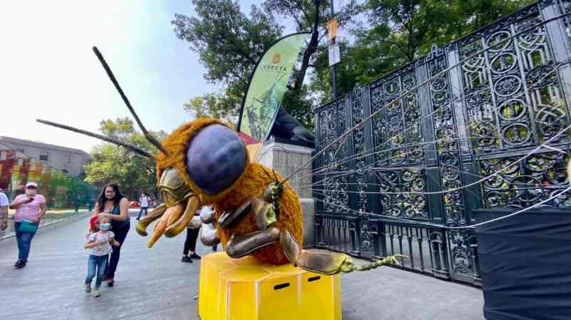 Celebra Sedema la vida de los insectos en el Bosque de Chapultepec