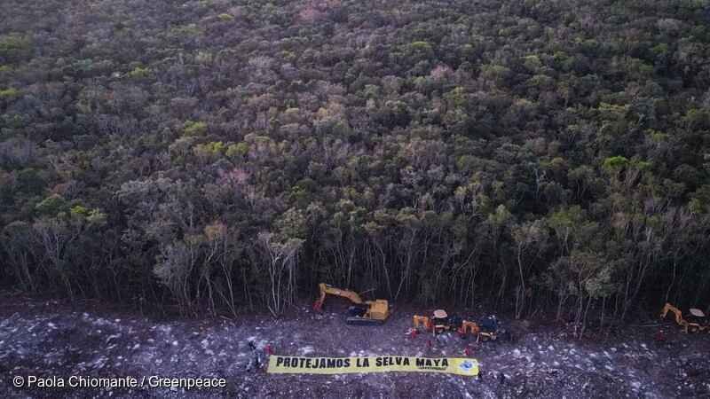 Organizaciones ambientales entregan petición a la Comisión del T-MEC contra el Tren Maya