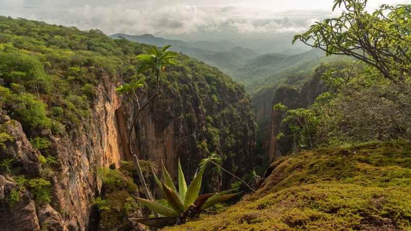 Recibe el Valle de Tehuacán-Cuicatlán certificado de inscripción en la Lista del Patrimonio Mundial