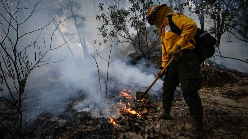 Capacitan a personal de Jalisco para atención de incendios forestales 