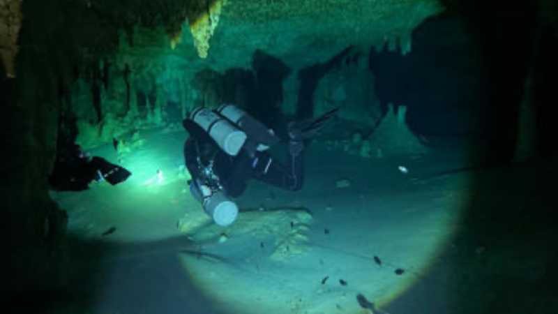 La osamenta localizada en una cueva sumergida del Tramo 5 del Tren Maya no será afectada