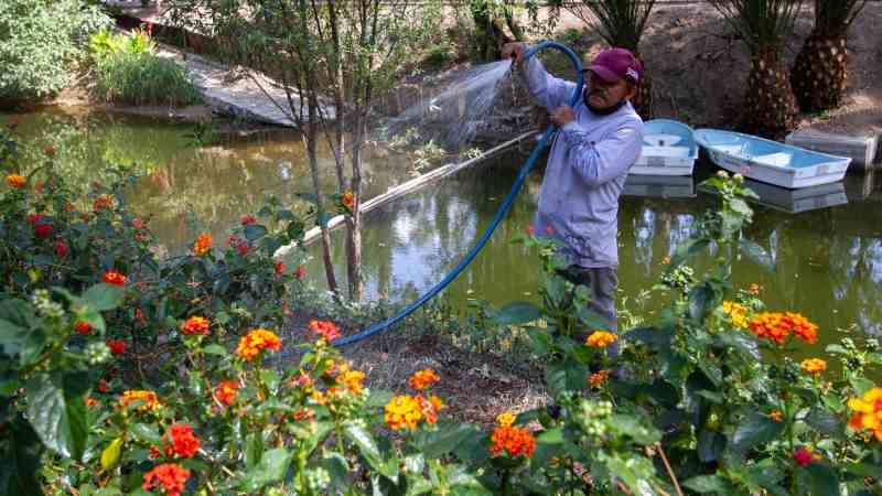 Reformas a la Ley Ambiental promueven la conservación de biodiversidad en la Ciudad de México