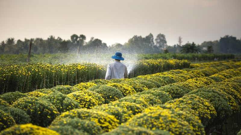 6 acciones para minimizar impactos negativos de pesticidas y fertilizantes