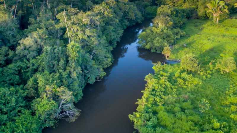 Se unen ocho países en la protección de la Cuenca del Río Amazonas 