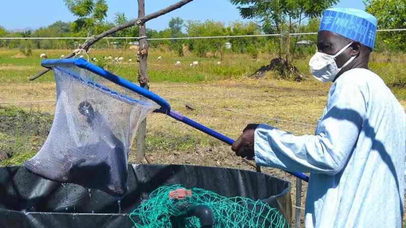 La acuicultura solución para satisfacer la demanda de alimentos: ONU