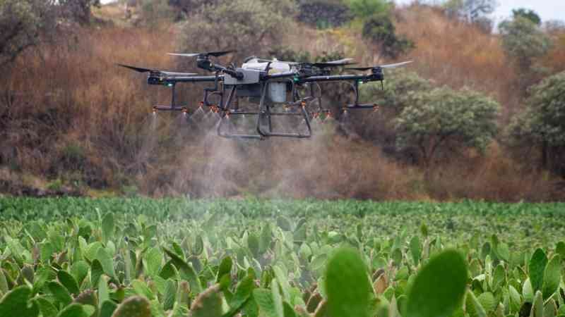 Con drones atienden plagas en nopal en la CDMX