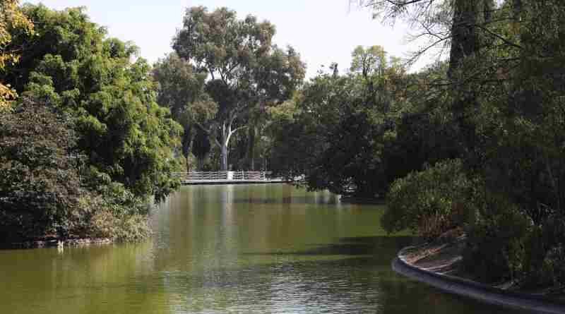 Restauran lagos en la Segunda Sección del Bosque de Chapultepec