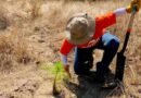 Cargill y Reforestamos México se unen para restaurar 22.5 hectáreas de bosque