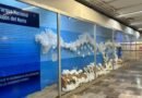 Llega la exposición Arrecifes de coral al metro de la Ciudad de México