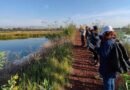 Inicia Ciclo de Cine Documental “Por la conservación y defensa del territorio”