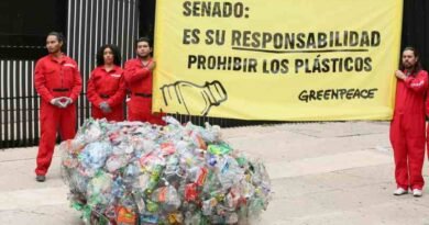 Urge Greenpeace al Congreso legislar en materia de plásticos de un solo uso