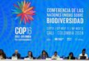 COP16. Pasar de las palabras a las acciones: Guterres