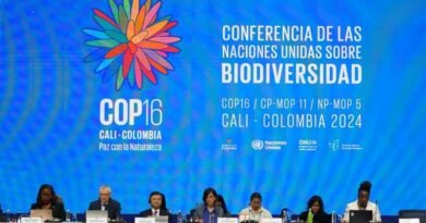 COP16. Pasar de las palabras a las acciones: Guterres