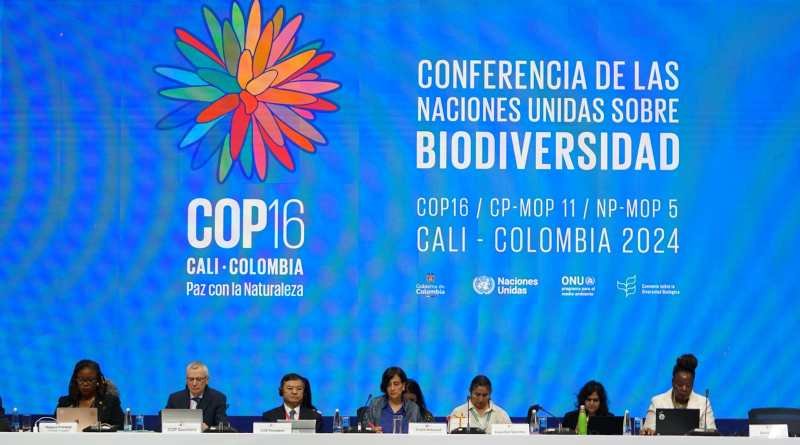 COP16. Pasar de las palabras a las acciones: Guterres