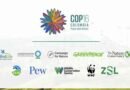 Aplicaciones para estar conectado a la COP16 en Colombia