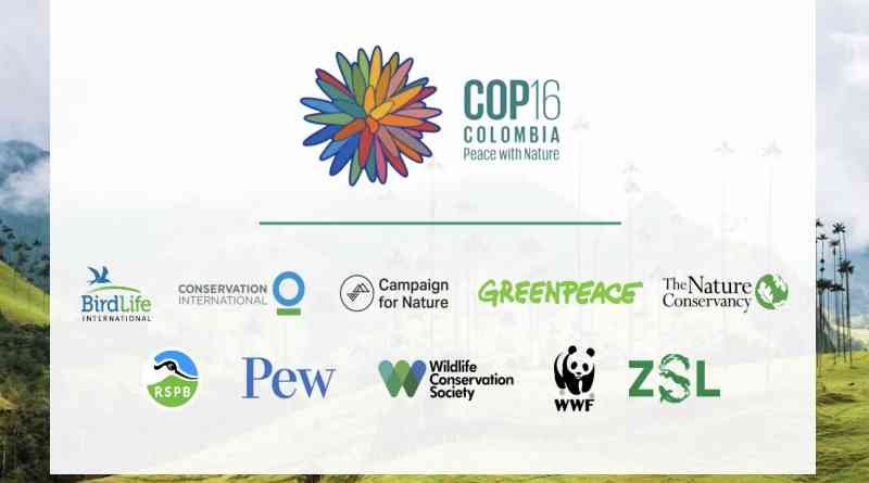 Aplicaciones para estar conectado a la COP16 en Colombia