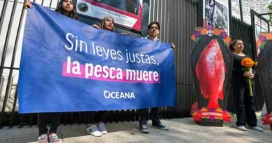 Oceana exige leyes justas para el sector pesquero