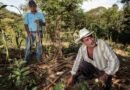 Autoridades llaman a evitar quemas agropecuarias en invierno