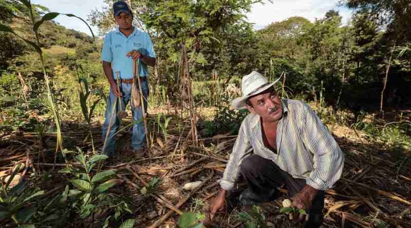 realizar quemas agropecuarias