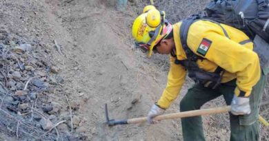 incendios forestales