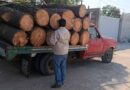 Aseguran vehículo y madera en el Bosque de Agua y clausuran obras en La Malinche