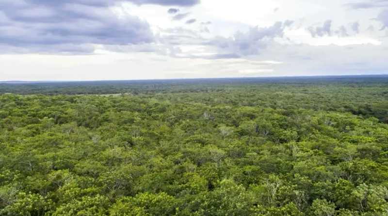 México destina 500 MDP para resiliencia climática en la Península de Yucatán